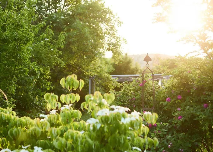 Biogarten-ferienhaus Schiltern